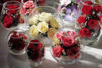 Живые цветы в стекле и вакууме